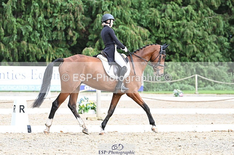 231019-163419-05368 - 070-SLIGO.CASTLE.JACOMAR-Veera.Peltokangas-DR