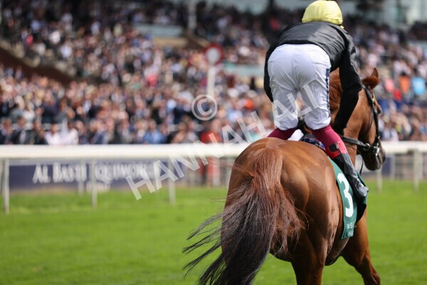 yr20082021r2-63 - Race 2 2.25pm Weatherbys Hamilton Lonsdale Cup (British Champion Series race)