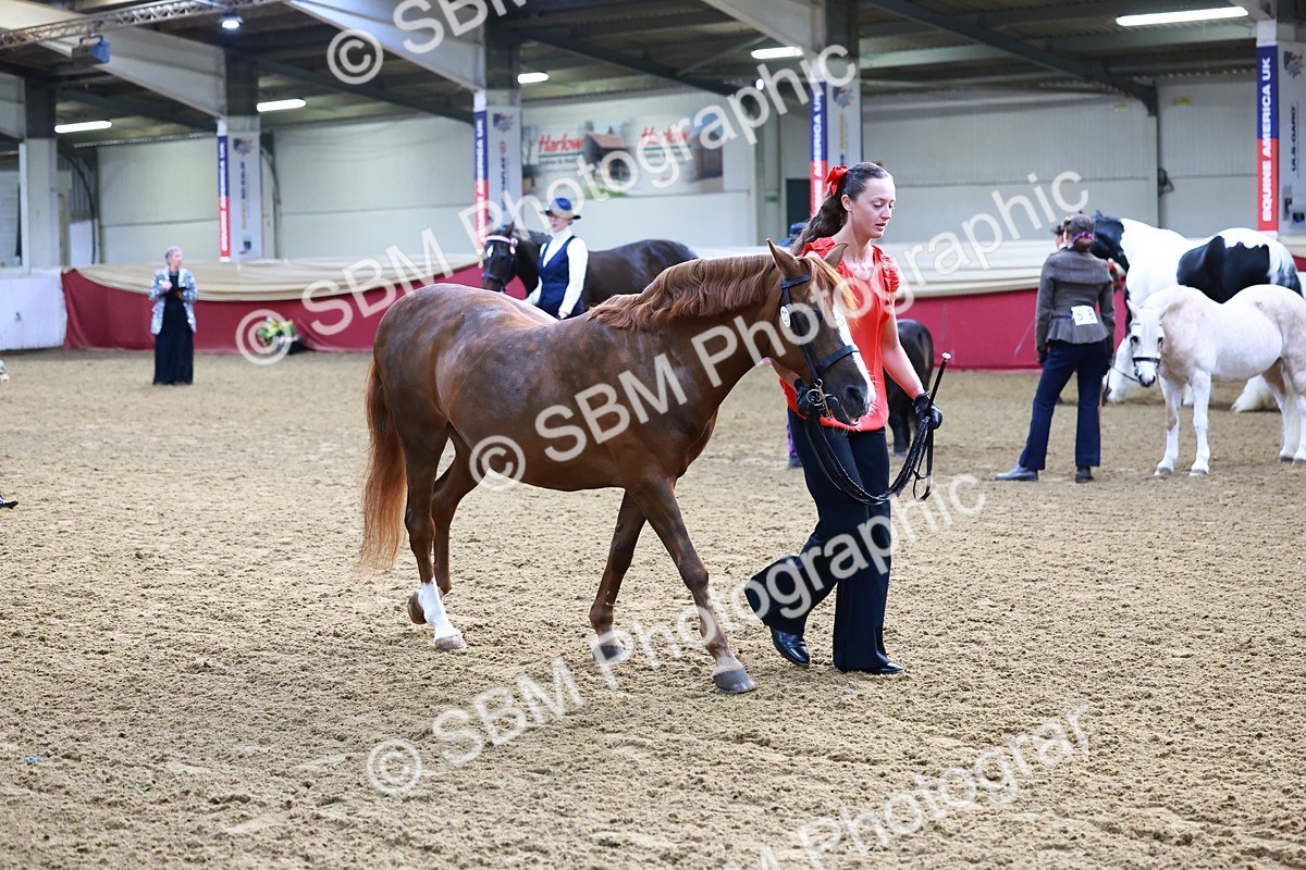 SBM_21689 - Class 901 - Supreme Final - IH  Diamond