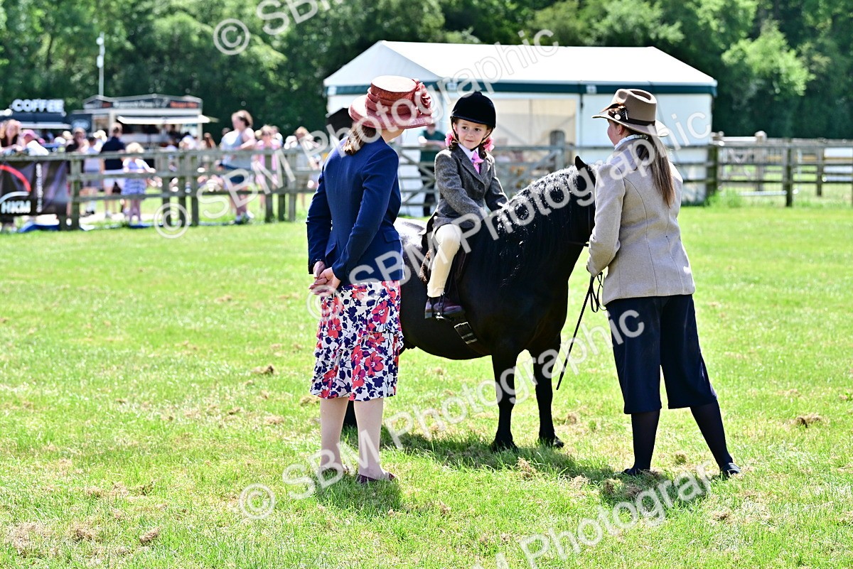 SBM_05853 - Class 59-60 - TSR M&M  Lear Rein and First Ridden Amateur of the year