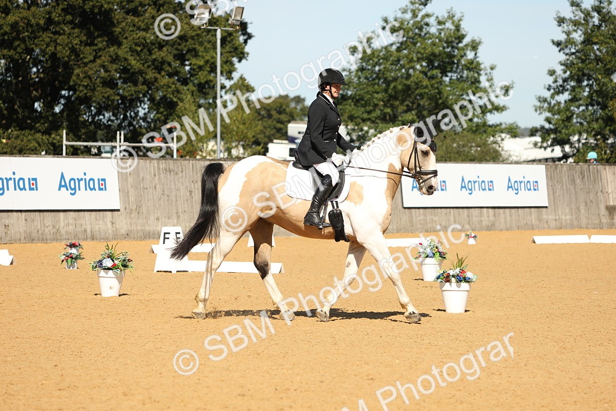 SBM_19662 - D10 - Small Tour Championship - Prelim 2