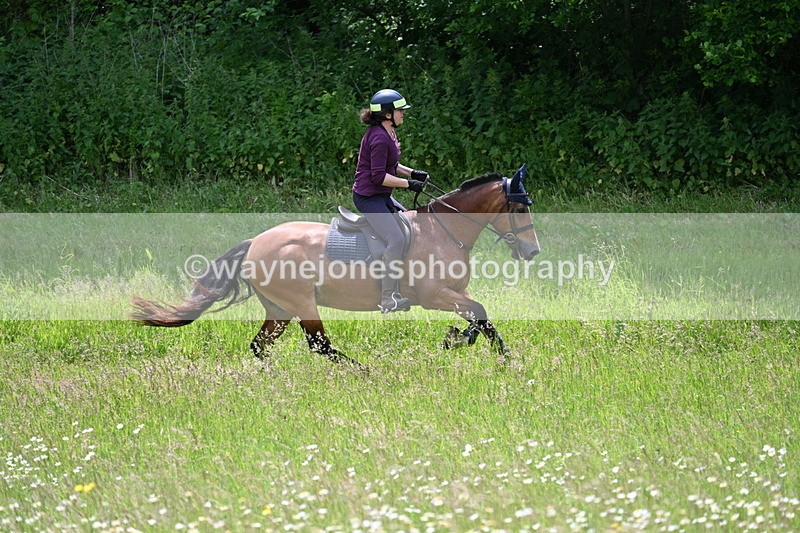 WJ7_8841 - Group 4 11am