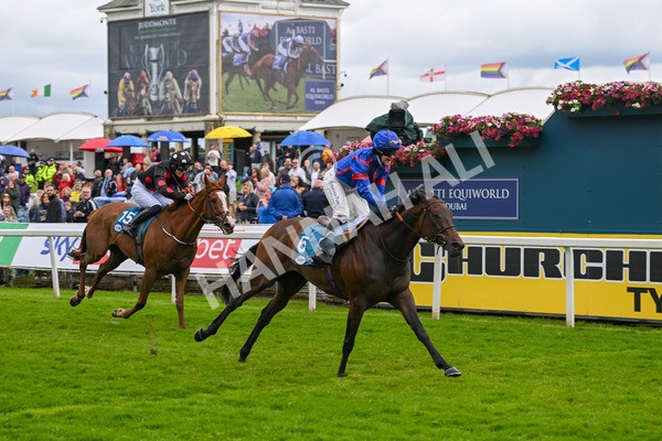 150624-Race 1-Lord Melbourne-6733 - Race 1 1.50pm Queen Mother's Cup Handicap