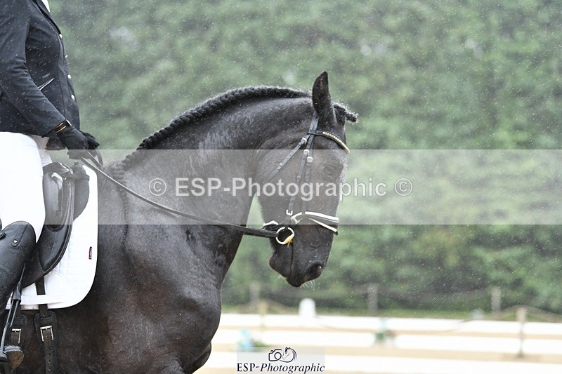 240720-093634-03536 - 274-Paige_Beattie-Orcaber_Dark_Secret