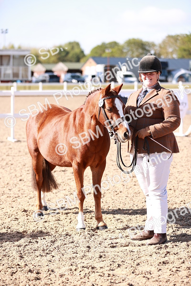 SBM_22706 - Class 704 - IH  Rescue