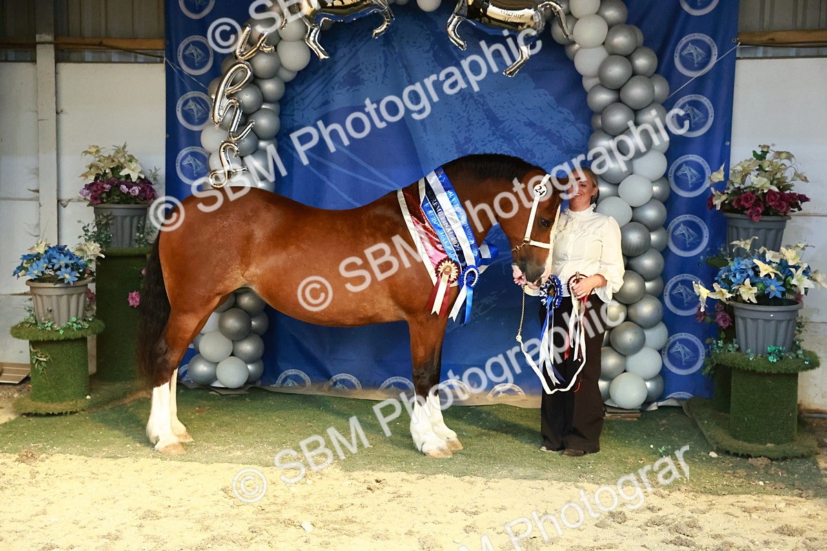 SBM_17981 - M&M Supreme Final Champ