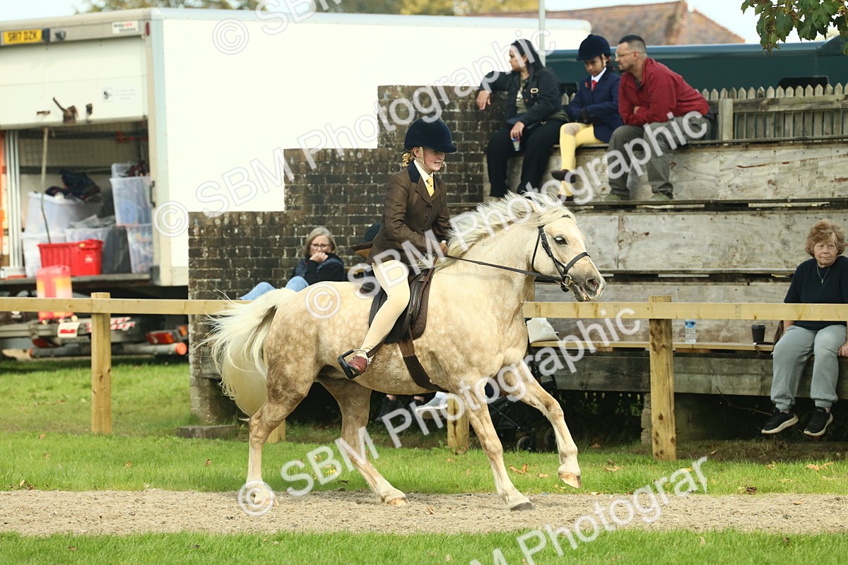 SBM_68836 - S58 - Mini Show Cob Ridden