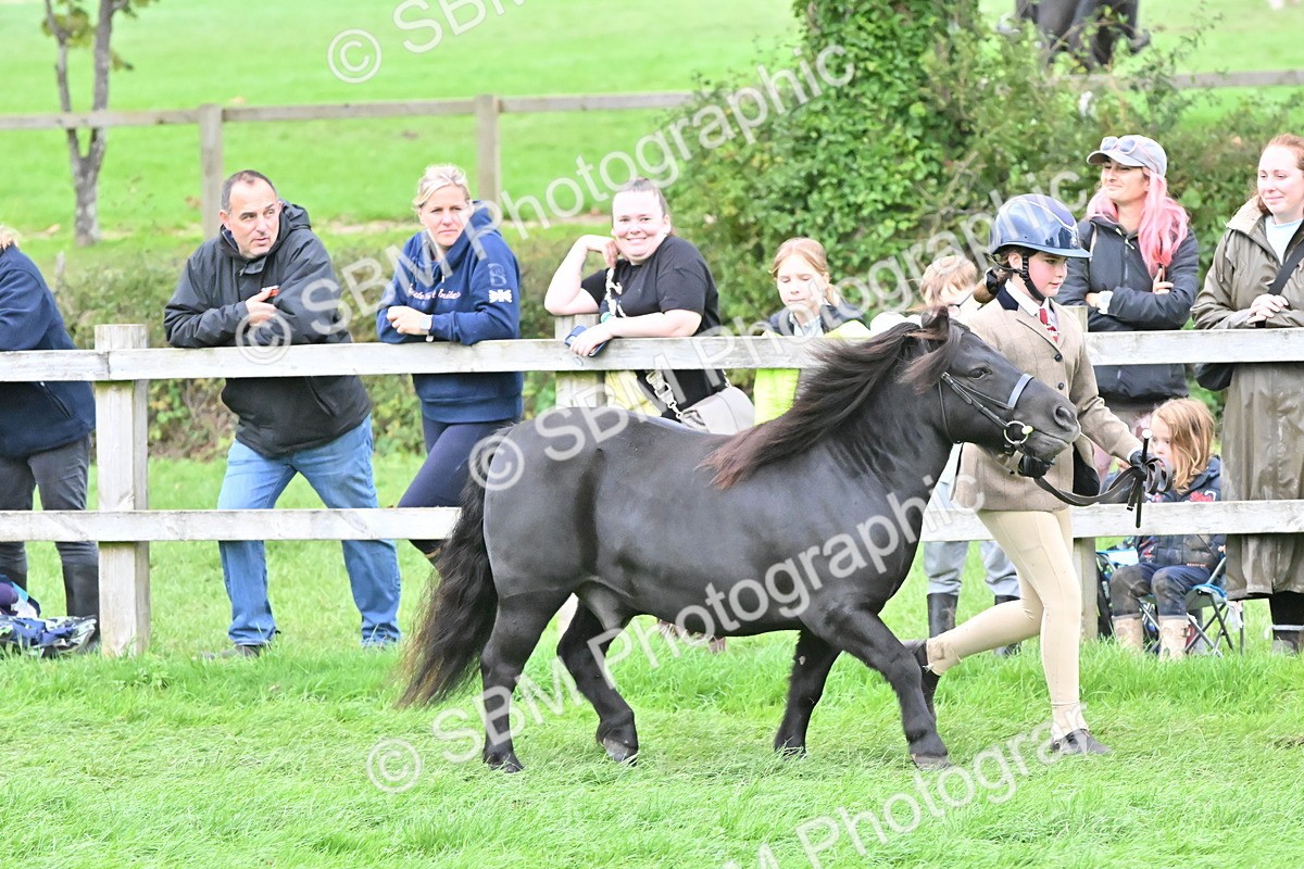 SBM_68543 - S42 - Junior Handler 9-12 Years