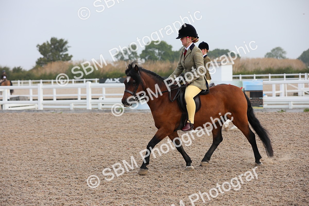 SBM_09624 - Class 301 Ridden M&M -Small Breeds