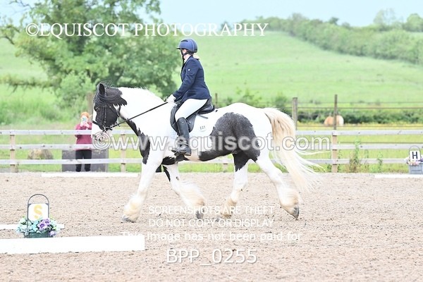BPP_0255 - 31 E WYLLIE