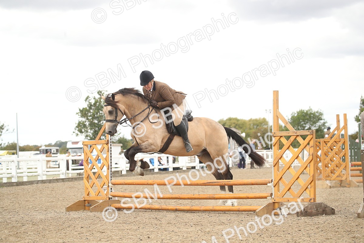 SBM_16675 - Class 507a - Working Veteran - 60cm (15-19)