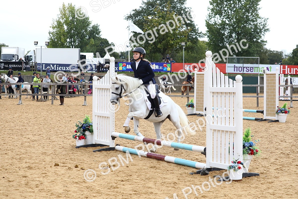 SBM_68105 - J3b - Mini Tour Junior Pony 40cm Championship