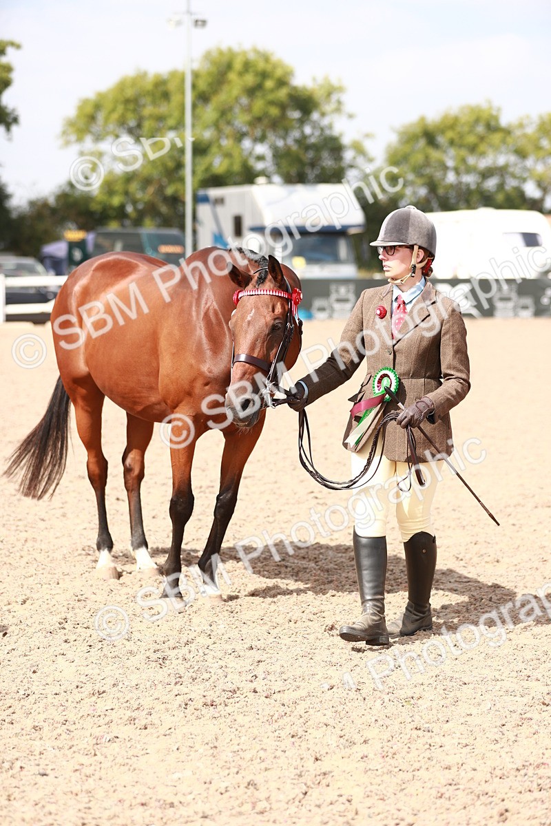 SBM_13302 - Class 208 IH Veteran Horse
