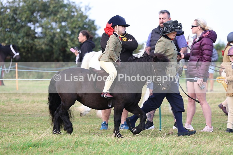 3E7A3516 - Class 2: Lead rein