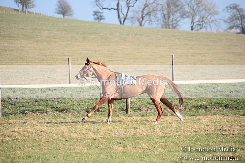 PtP 230219 165 - Vine & Craven Point-To-Point - Barbury 23/02/19
