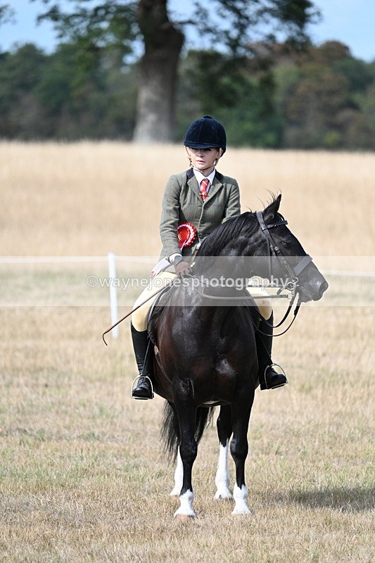 WJ7_7845 - Ridden Championship