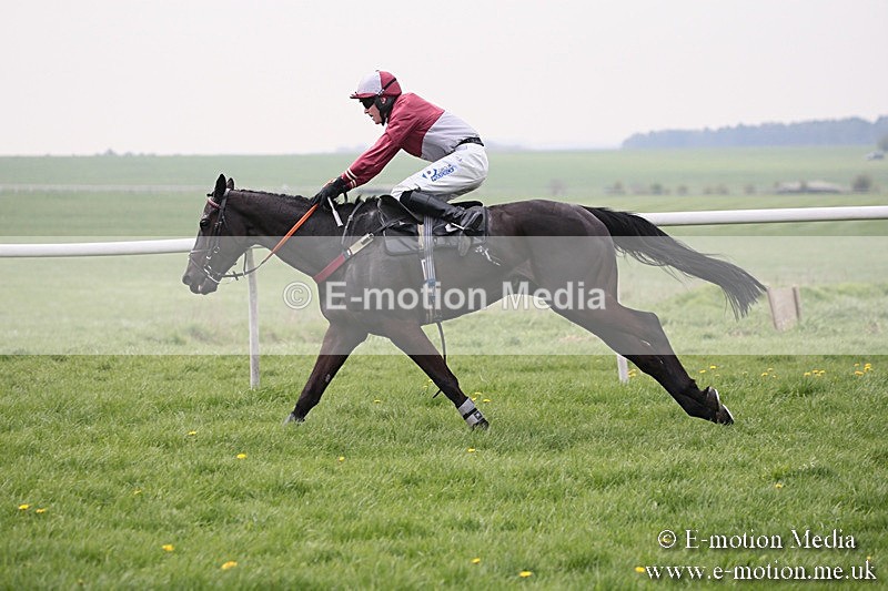 PtP 210418 123 - South & West Wilts Point-to-Point Larkhill 21/04/18