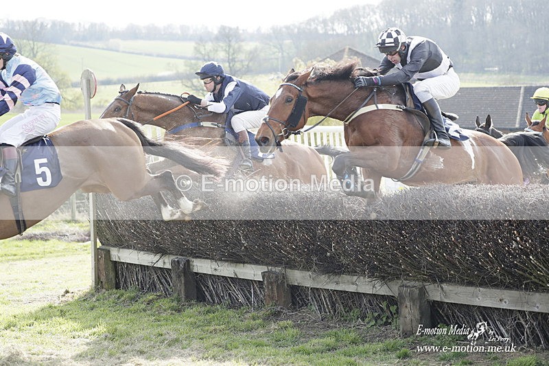 PtP 080423 576 - Dingley Races The Woodland Pytchley Hunt PtP 08/04/23