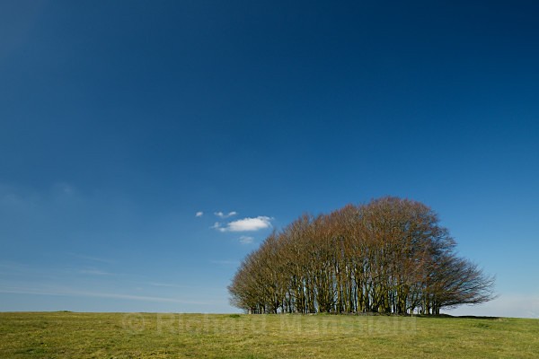  - Landscape