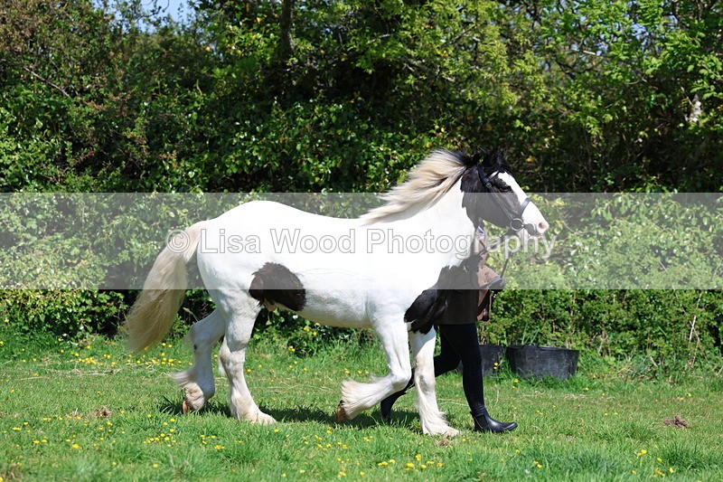 3E7A0265 - Class 19: Best Coloured in Hand