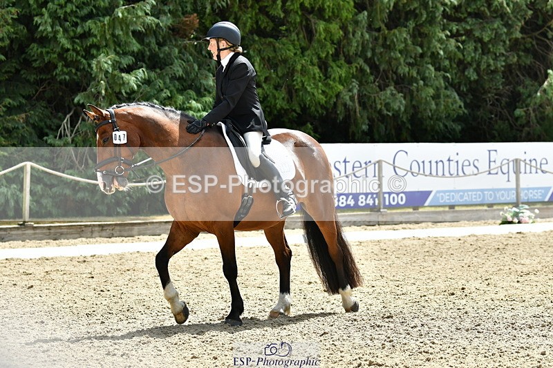 260801A-124611-04058 - Prelim Bronze Break - End