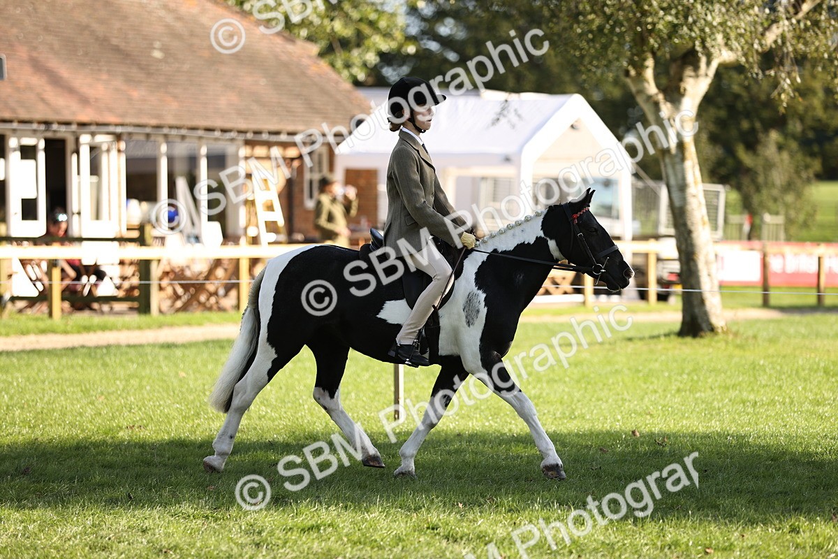 SBM_29314 - S7 - Novice & Newcomers Ridden Pony