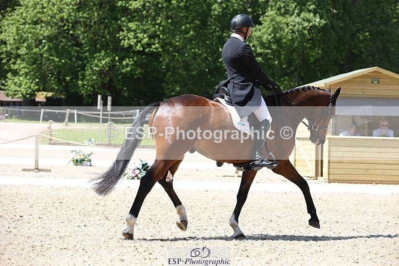 230526-124646-06253 - 162-MONBEG_GOLD_DUST-Michael_Owen-WEDTrotUp+DR