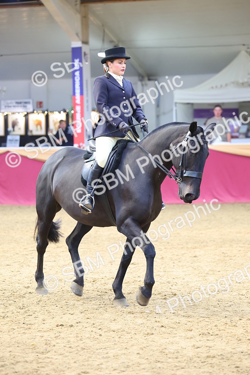 SBM_23943 - Class 905 - Supreme Final - Ridden Veteran