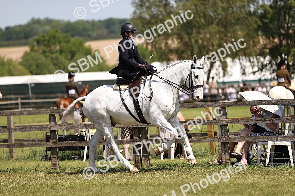 SBM_15049 - Class 79-80 - LIHS BSHA Rising Star Ridden Hunter