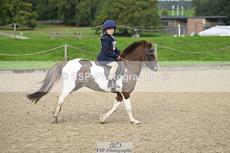 251005A-091342-02999 - Cls 02 GR 50cm