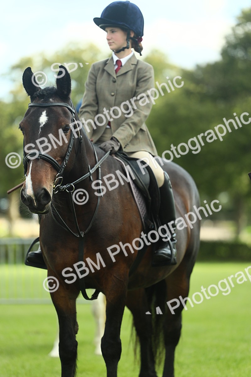 SBM_42156 - S29 - Novice & Newcomers Working Hunter Pony