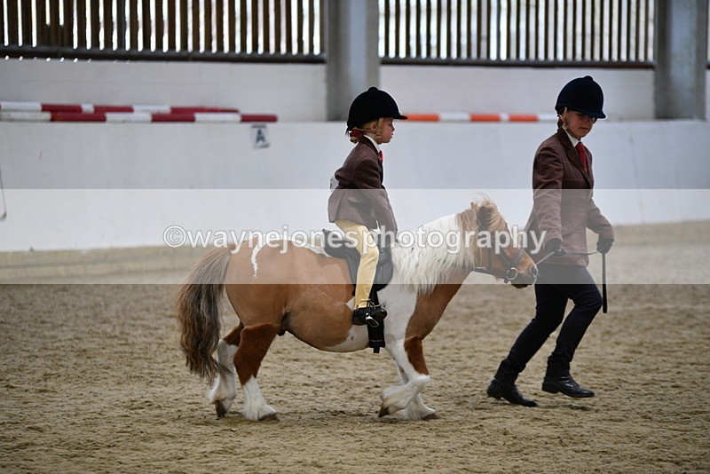 WJ5_6785 - Class 10 Childs Pony