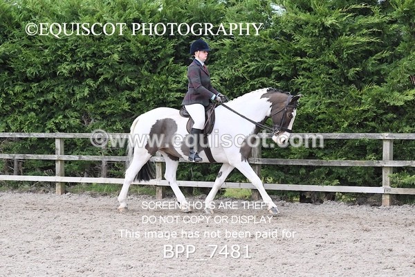 BPP_7481 - RING 1  (RIDDEN HORSES / IN HAND / VETERAN ETC)