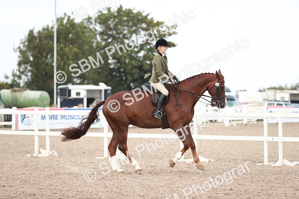 SBM_15496 - Class 213 Ridden Hunter -Large