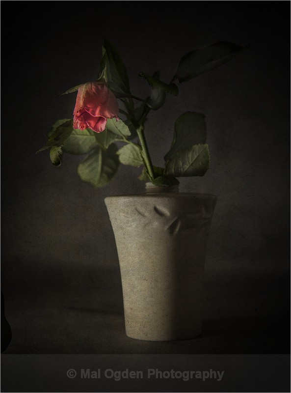Faded Charm - Digitally Manipulated