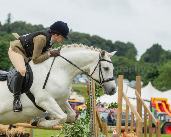 Dunblane show-366 - Dunblane and Doune Show Ring 1