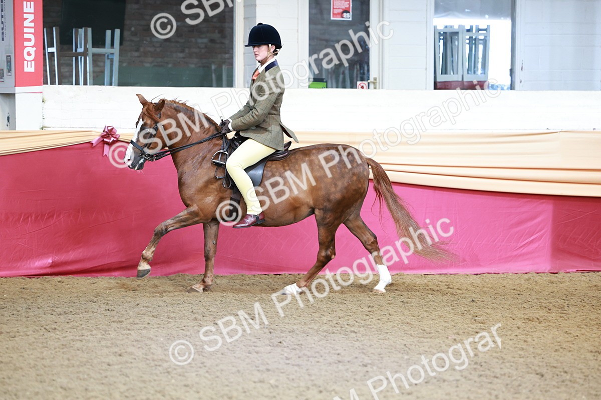 SBM_11909 - Class 102 - Equitation (Best Rider) Adult