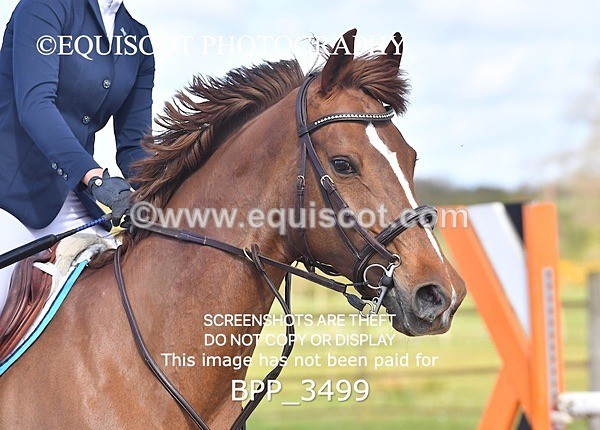 BPP_3499 - CLASS 6 Senior Newcomers/ 1.10m Open