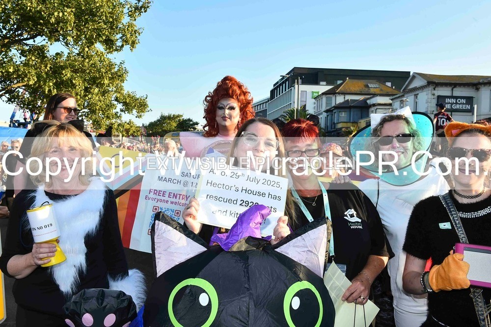 SH4_3566 - Carnival Procession.