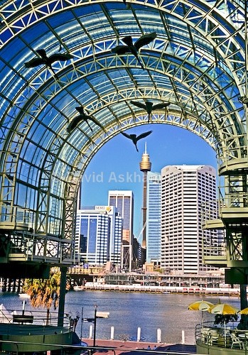 Darling harbour - Travel & Landscape