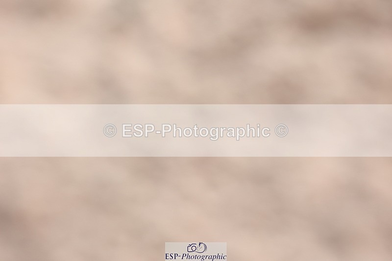 240714A-150032-02565 - Cls 14-15-16  CR & 60cm