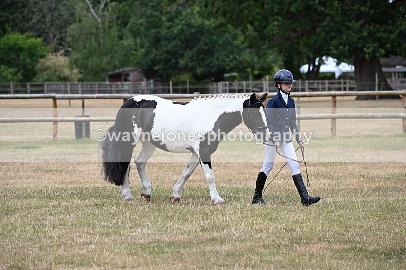 WJ6_4566 - Class 10 Coloured In-hand