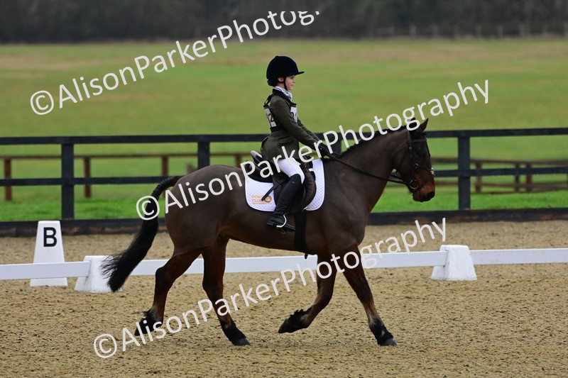 20260125-0616 - Class 9b - Walk Trot Unassisted