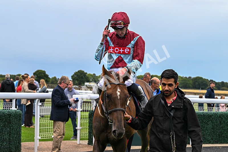 290826-Race 5-Supreme Clarets-7438 - Race 5 4.10pm Churchill Tyres Handicap