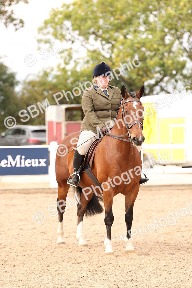 SBM_16522 - Class 212 - Ridden Hunter - Small