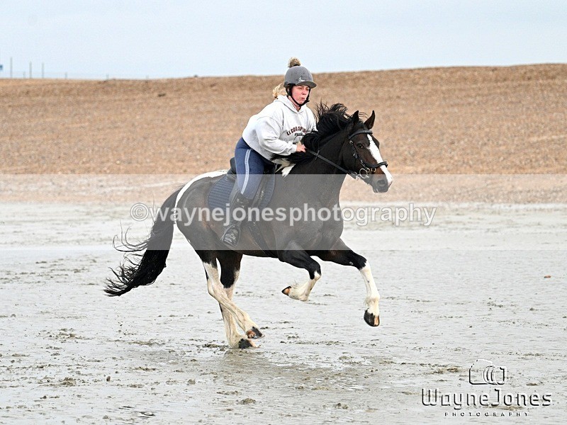 WJ7_9398 - Hayling Island Beach Shoot 22-09-24