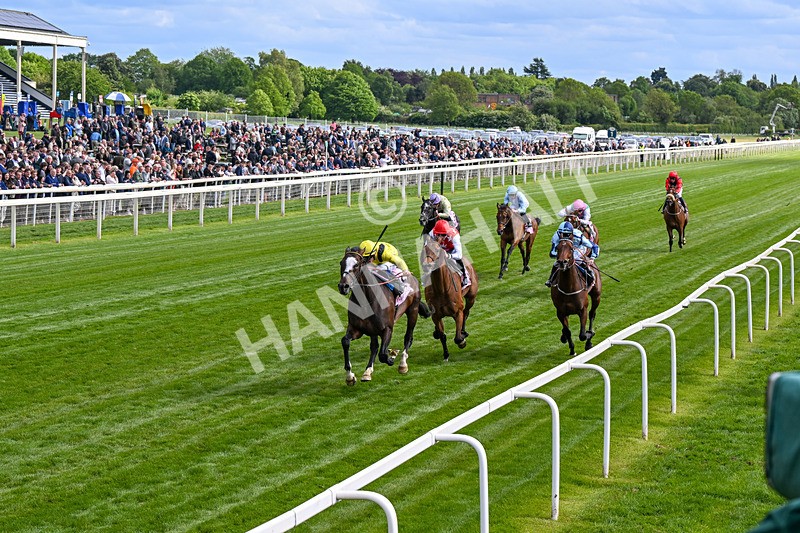 150526-Race 5-Rahiebb-0284 - Race 5 4.05pm Boodles Yorkshire Cup Stakes