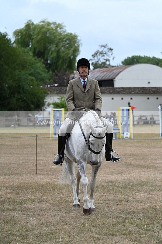 WJ7_0766 - Class 7 Riding Club Show Horse