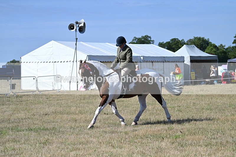 WJ7_3286 - Class 8 Ridden Tack & Turnout