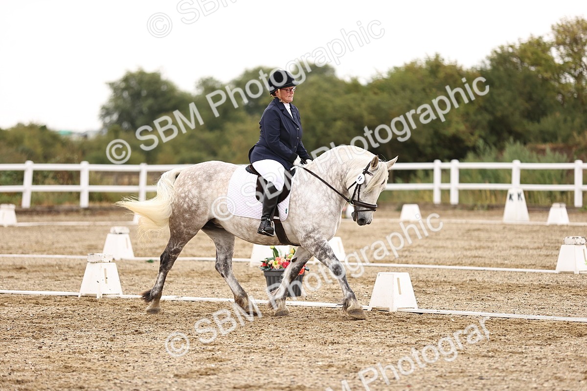 SBM_000981